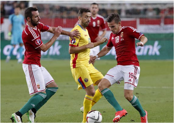 在线手机号呼死你